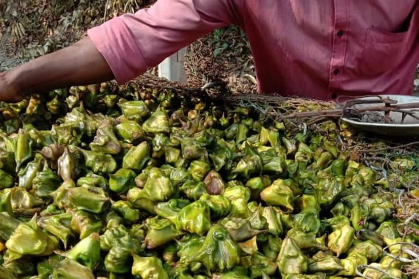কমদামি বলে আমরা অনেকেই এই ফল এড়িয়ে যাই৷ অজান্তেই অবহেলা করি ফলের বহু গুণাগুণ৷