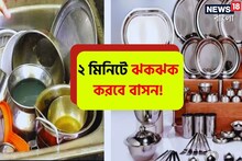 গালগল্প নয়..., জল ছাড়াই ধুয়ে নিন ময়লা এঁটো বাসন! ২ মিনিটে নতুনের মতো ঝকঝক করবে