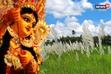 মহালয়ায় পরিষ্কার থাকবে আকাশ! কিন্তু দুর্গাপুজো...? আশঙ্কা উস্কে দিল আইএমডি