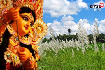 মহালয়ায় পরিষ্কার থাকবে আকাশ! কিন্তু দুর্গাপুজো...? আশঙ্কা উস্কে দিল আইএমডি