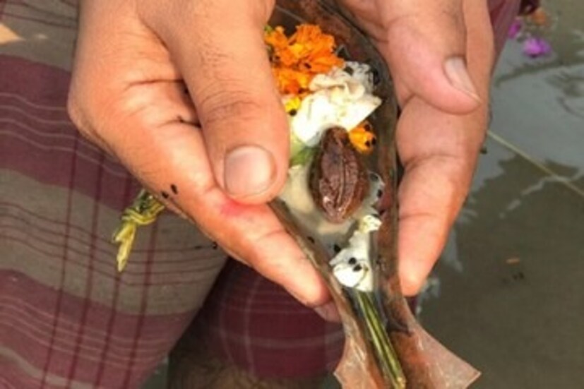 মহালয়ার তিথিতে পূর্বপুরুষদের তর্পণ করার রীতি প্রচলিত দীর্ঘ দিন ধরে। যাঁরা তর্পণ করেন, তাঁদের মনে সূর্যগ্রহণ সংক্রান্ত দ্বিধা এসেছে। 