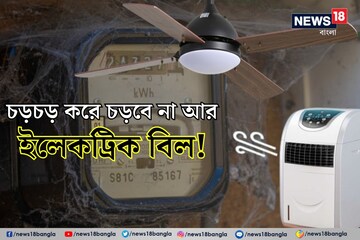 ফ্রি হয়ে যাবে বিদ্যুৎ!  চড়চড় করে চড়বে না আর ইলেকট্রিক বিল, এই ছোট্ট বদলে ম্যাজিক