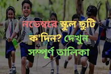 নভেম্বরে 'এতগুলো' দিন স্কুল-কলেজ বন্ধ...? কবে কবে ছুটি? দেখুন তারিখ-সহ তালিকা