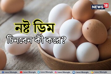 নষ্ট ডিম খাচ্ছেন না তো...? 'ভাল'-'খারাপ' চিনবেন কী করে? জানুন সহজ ৪ উপায়