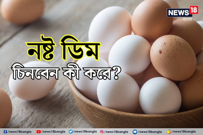 Egg Interesting Facts:  প্রায়শই অনেকে বাজার থেকে ডিম এলেই সেই ডিম নিয়ে সোজা ফ্রিজে ঢুকিয়ে রাখেন। আমরা অনেকেই ভাবি তাতে ডিম সতেজ অর্থাৎ ফ্রেশ থাকে। যদিও অনেকেই কিন্তু বিশ্বাস করেন যে ডিম ফ্রিজে রাখা উচিত নয়। আর এই নিয়েই অনেকের মনে বিভ্রান্তির সৃষ্টি হয়। যদি আপনার মনেও এরকম সংশয় থেকে থাকে তবে আপনি এই প্রতিবেদনেই পেয়ে যাবেন উত্তর।