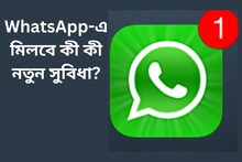 আপডেট ট্যাবে আসছে নতুন সার্চ ফিচার! WhatsApp-এ মিলবে কী কী সুবিধা?
