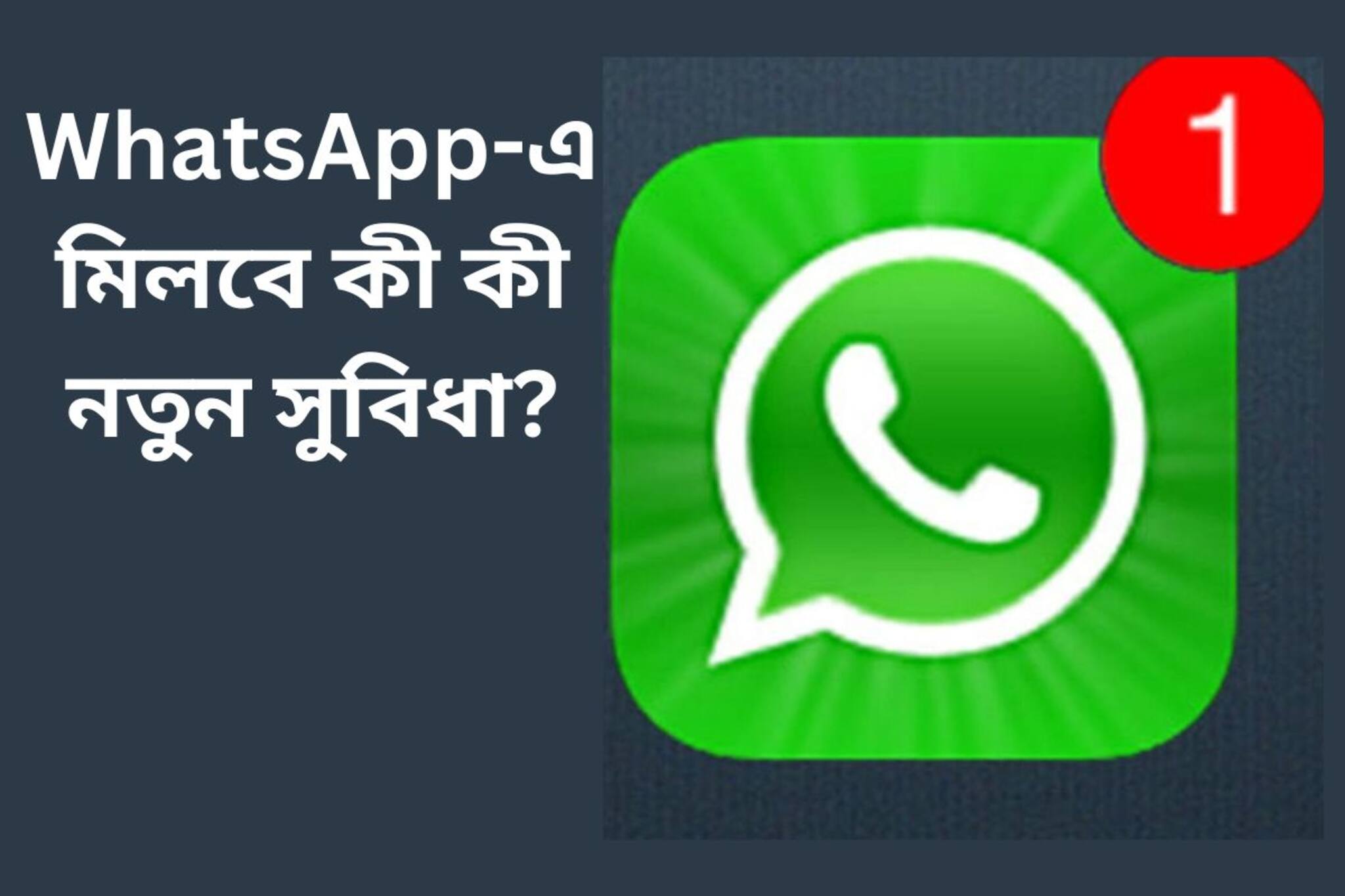 আপডেট ট্যাবে আসছে নতুন সার্চ ফিচার! WhatsApp-এ মিলবে কী কী সুবিধা?