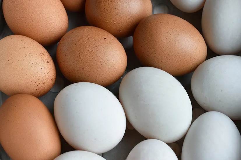 Egg Interesting Facts: সকালের জলখাবারের তালিকায় ডিম না থাকলে অনেকেই চোখে সর্ষে ফুল দেখেন। সস্তা ও পুষ্টি দুটির সামঞ্জস্য বজায় রেখে আমাদের স্বাস্থ্যের দেখভালে ডিমের জুড়ি মেলা ভার।