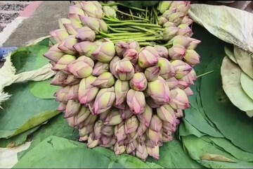 জলাশয়