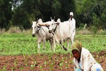 কবে আসবে ব্যাঙ্কে টাকা ? PM Kisan যোজনার ১৫তম কিস্তির বিষয়ে যা না জানলেই নয়