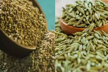 জোয়ান ও মৌরি ভেজানো জলেই ফিরবে যৌবন! ত্বক-চুল থেকে বাড়তি ওজন সব সমস্যা গায়েব!