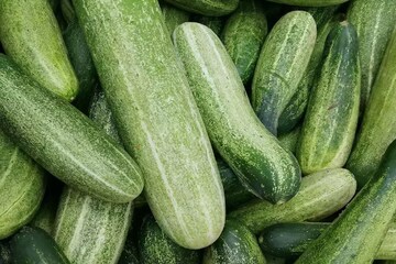 মলদ্বারে আটকে গোটা শসা! ডাক্তারকে ব্যক্তি বললেন পেটেই গজিয়েছে শসা! বিরাট কাণ্ড