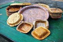 শাল পাতায় ভর করে উপার্জনক্ষম হচ্ছে জঙ্গলমহল 