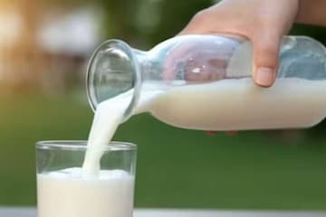 মাছ-মাংস খাওয়ার পরেই দুধ পান করছেন? এতে শরীরে কী হচ্ছে জানেন, বলছে আয়ুর্বেদ মাছ-মাংস খাওয়ার পরেই দুধ পান করছেন? এতে শরীরে কী হচ্ছে জানেন, বলছে আয়ুর্বেদ