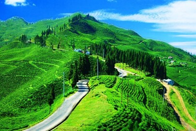 পঞ্চমীতেই খুলছে জাতীয় সড়ক?
