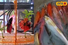 বাড়ির সামনের ছোট্ট জলাশয় বা চৌবাচ্চা ভাগ্য বদলে দিতে পারে, হাতে আসবে অনেক টাকা