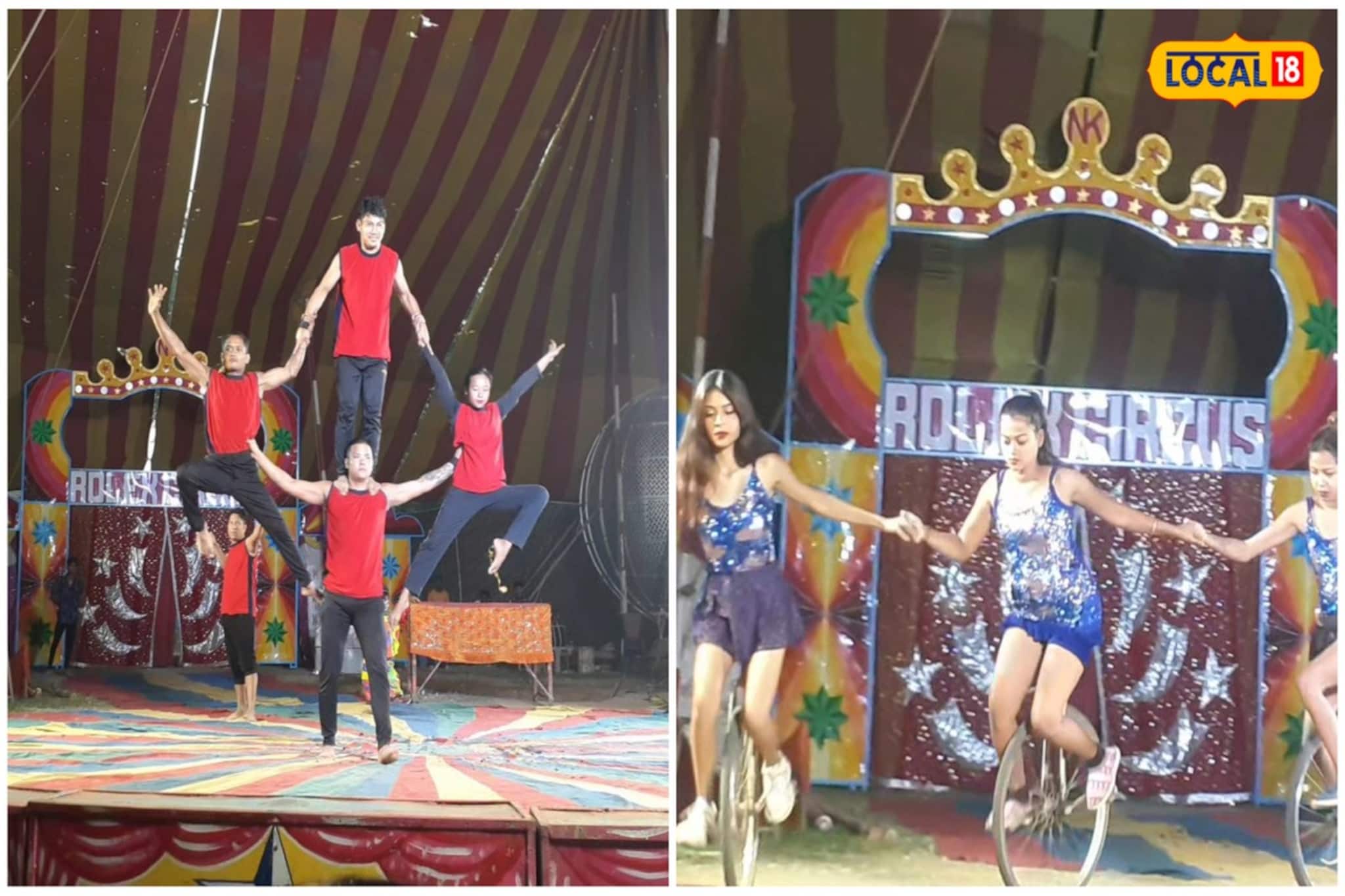 জীবজন্তুর খেলা নিসিদ্ধ ,  জৌলুসহীন সার্কাসে কমছে  দর্শক!