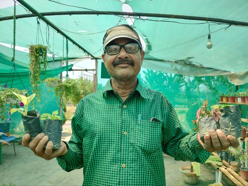 দিন দিন বাড়ছে চাহিদা এই সব গাছের চাহিদা। গাছই এখন হয়ে উঠেছে বাঁকুড়ার একটি গুরুত্বপূর্ণ উপহারের সামগ্রী।