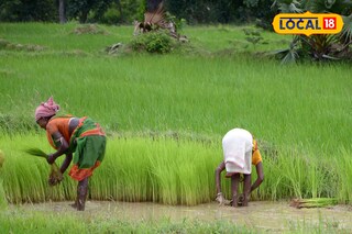 জল সেচ নিয়ে আর ভাবতে হবেনা