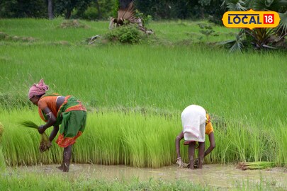 জল সেচ নিয়ে আর ভাবতে হবেনা