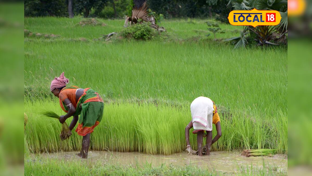 বাংলা কৃষি সেচ যোজনা প্রকল্পে কৃষকদের বিনামূল্যে সেচ যন্ত্র দিচ্ছে