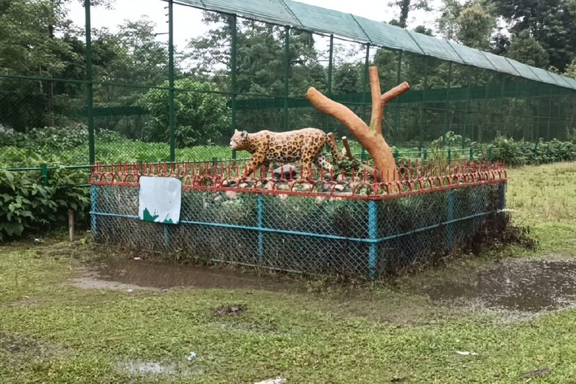 রসিকবিল ছোট চিড়িয়াখনায় বর্তমান টিকিটের মূল্য রয়েছে বড়দের জন্য ২৫ টাকা এবং ছোটদের জন্য ১০ টাকা। এখানে গাড়ি কিংবা বাইক যে কোনও ভাবেই আসতে পারবেন।
