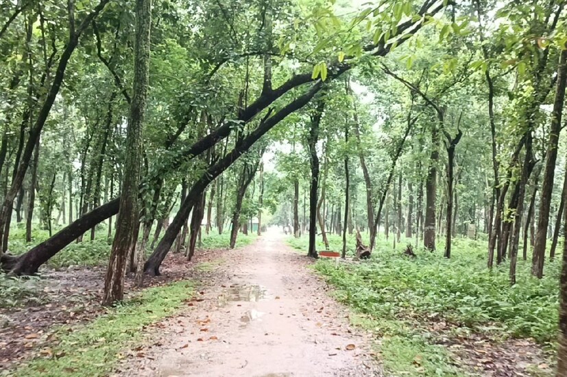 এই মিনি জু-এর অপরূপ প্রাকৃতিক সৌন্দর্য্য যে কোনও মানুষের মন সহজেই আকর্ষণ করতে পারে। শীতের মরশুমে এই মিনি জু-এর লেক বা জলাশয় মধ্যে প্রচুর পরিযায়ী পাখিদের আগমন ঘটে।