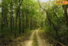 What's That: ঝোপের ফাঁকে ওটা কী! দেখেই  দৌড় দিল পর্যটকরা