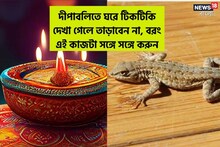 দীপাবলিতে ঘরে টিকটিকি দেখা গেলে তাড়াবেন না, বরং এই কাজটা সঙ্গে সঙ্গে করুন