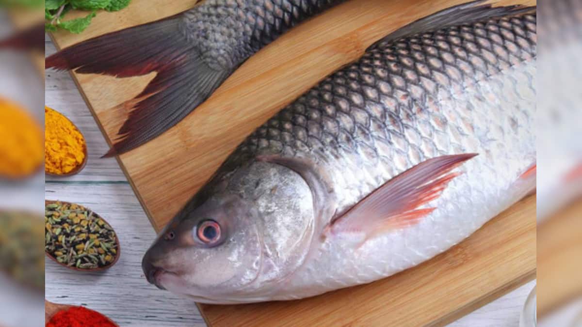 Benefits of Rohu Fish: চেটেপুটে রুই মাছ খাচ্ছেন! এটি আপনার শরীরে কী ...