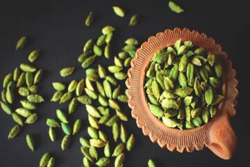 ঠিক এই ভাবে খান ছোট এলাচ, হুহু করে কমবে ব্লাড সুগার! এক মশলার একশো উপকার