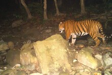 পশুর দ্বারা ক্ষতিতে সরকারি সাহায্য! তাতেই এক বছরে খরচ ১৪.১১ কোটি টাকা