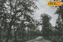সংঘাতিক এই প্রাণীর কামড়ে আহত ১০! আতঙ্কে দিন কাটাচ্ছেন স্থানীয়রা