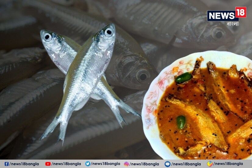 ডিসক্লেইমার : তবে মনে রাখা উচিত, সব মাছ সকলের ক্ষেত্রে সমান ভাবে কাজ করে না। তাই কার ক্ষেত্রে কোন মাছ বেশি ভাল, তা একমাত্র বিশেষজ্ঞ চিকিৎসকই বলতে পারবেন। তাই চূড়ান্ত সিদ্ধান্ত নেওয়ার আগে জেনে নিন চিকিৎসকের পরামর্শ।