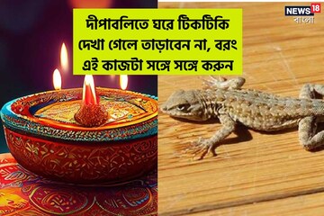 দীপাবলিতে ঘরে টিকটিকি দেখা গেলে তাড়াবেন না, বরং এই কাজটা সঙ্গে সঙ্গে করুন
