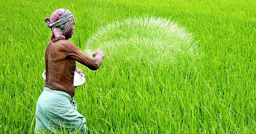 রাসায়নিক সার ও কীটনাশক-- শুক্রাণুর উপর সার ও কীটনাশকের প্রভাব হতে পারে মারাত্মক। তাই জৈব সারে চাষ হয় ও কীটনাশক ব্যবহার করা হয় না, এই ধরনের শাক-সব্জি খেলে কিছুটা উপকার মিলতে পারে।