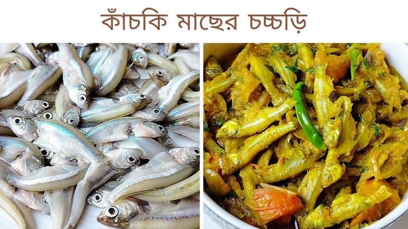 কাদের বেশি খাওয়া উচিত কাচকি মাছ? বিশেষজ্ঞদের মতে, কাচকি মাছ বেশি করে খাওয়ানো উচিত শিশুদের। আসলে শিশুদের সার্বিক বিকাশের জন্য প্রোটিন, আয়রন, ক্যালসিয়াম, ফসফরাস, ভিটামিন সি, ভিটামিন বি-৩ এবং ভিটামিন ডি যুক্ত এই মাছ খুবই উপকারী।