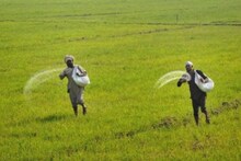 PM Kisan যোজনা প্রকল্পে কৃষকদের টাকা কি বাড়বে! জেনে নিন বিস্তারিত