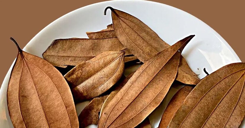 বিশিষ্ট জ্যোতিষী রামকৃষ্ণ সাহা জানান খাবারে ব্যবহার ছাড়াও এ তেজপাতার অনেক গুণাবলী।অবসাদ, উদ্বেগ বা কোনও মানসিক চাপ থেকে মুক্তি পেতে প্রাচীন কাল থেকে এই তেজপাতার ব্যবহার হয়ে আসছে।(তথ্য: পিয়া গুপ্তা)