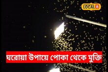 আলো জ্বালালেই ঘরে ঢুকে পড়ছে পোকা? এই সহজ উপায়ে এক সেকেন্ডে পালাবে সব পোকা-মশা!