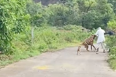 (Photo: Videograb)