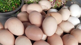 ছোটখাটো কেকের কারখানাতে চলে যায় এই লাল ডিম