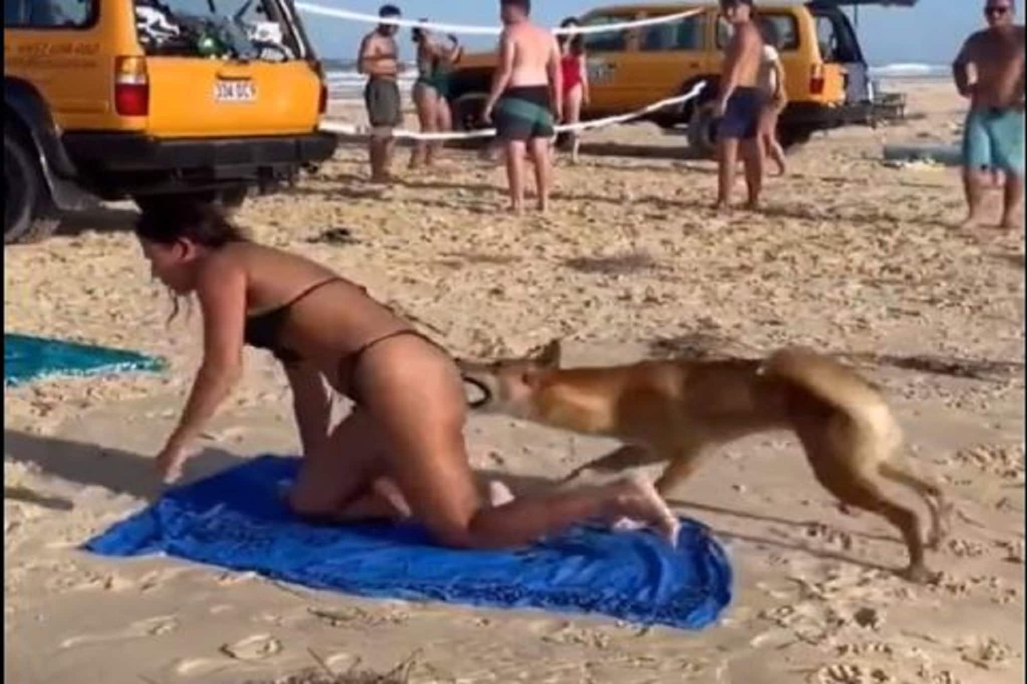 বিকিনি পরা মহিলা দেখলেই ধেয়ে এসে কামড়াচ্ছে কুকুর! তুমুল ভাইরাল ভিডিও