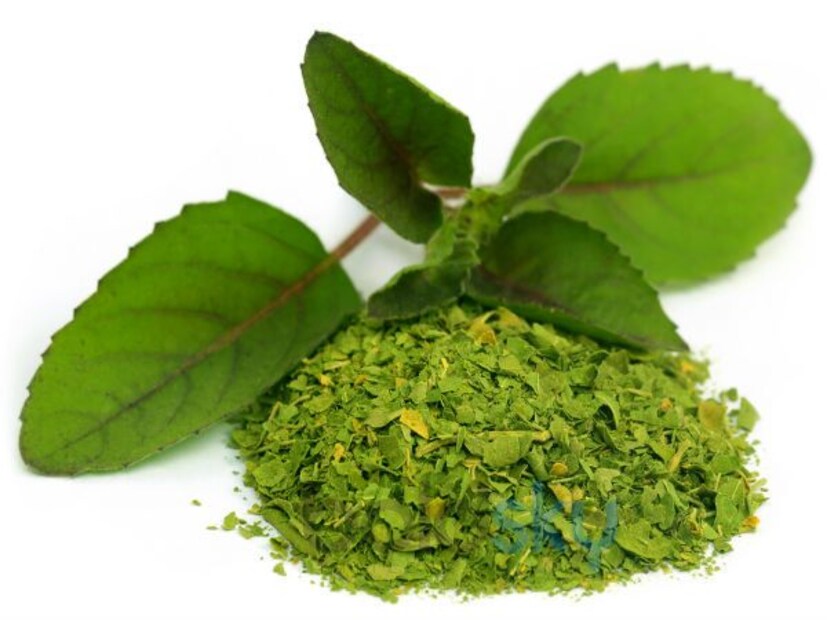 &quot;তুলসীর সমস্ত উপাদানের মধ্যে, ursolic acid, rosmarinic acid এবং eugenol সবচেয়ে শক্তিশালী অ্যান্টিঅক্সিডেন্ট হিসেবে পাওয়া গেছে। প্রকৃতপক্ষে, এগুলি প্রদাহ কমাতে পারে।&quot;