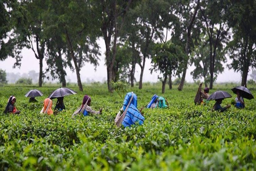North Bengal Weather: আলিপুরদুয়ারে মেঘলা আকাশ। সর্বনিম্ন ১০ ডিগ্রি সেলসিয়াস। কোচবিহারে পরিষ্কার আকাশ। সর্বনিম্ন তাপমাত্রা ১১ ডিগ্রি সেলসিয়াস।