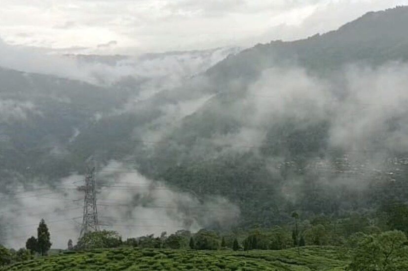 দার্জিলিং: মেঘ, কুয়াশা আর রোদের মিশেল। তাপমাত্রা ১০ ডিগ্রি। দেখা নেই কাঞ্চনজঙ্ঘার। শিলিগুড়ি: মেঘ আর রোদের লুকোচুরি। হালকা ঠাণ্ডা। তাপমাত্রা ১৬-১৭ ডিগ্রি।