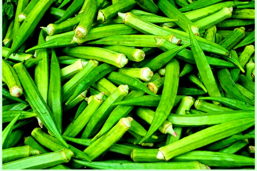 Okra Water: রোগপ্রতিরোধ ক্ষমতা বাড়াতে সাহায্য করে। ঢ্যাঁড়শের ফ্ল্যাভোনয়েড বা অ্যান্টিঅক্সিড্যান্টে সমৃদ্ধ। এই যৌগগুলির সক্রিয়ভাবে শরীরের রোগগুলিকে আটকে দিতে পারে।