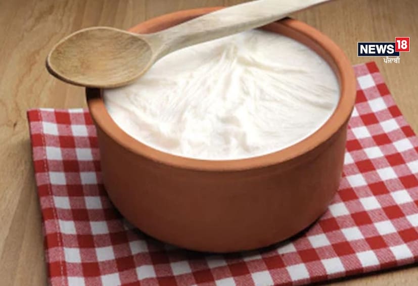 Curd in Winter: তাই ওজন কমাতে দই খাওয়ার পরামর্শ দেন চিকিৎসকেরা। দই দিয়েও হাড় মজবুত করা যায়। নিয়মিত দই খেলে মুখে উজ্জ্বলতা আসে। ত্বকের তারুণ্য ধরে রাখতে দই খুবই উপকারী।