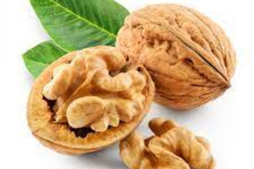 আখরোটআখরোট স্বাস্থ্যের জন্য খুবই উপকারী। আখরোট খেলে মস্তিষ্ক তীক্ষ্ণ হয়। এতে প্রচুর পরিমাণে ওমেগা-৩ ফ্যাটি অ্যাসিড পাওয়া যায়, যা মস্তিষ্কের বিকাশে সহায়ক। সন্তানকে অলরাউন্ডার বানাতে চাইলে শিশুদের প্রতিদিন সকালের জলখাবারে একটি আখরোট খাওয়াতেই হবে।
