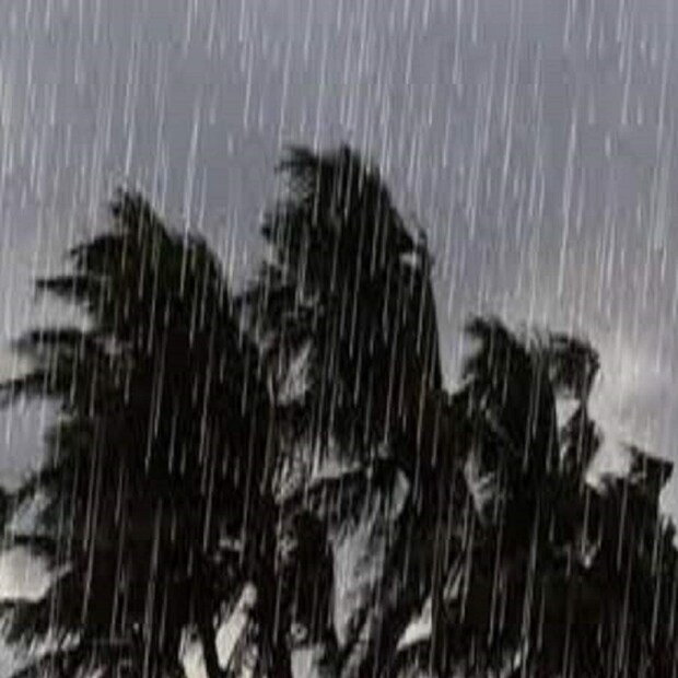 আবহাওয়া দফতরের মতে, রামানাথপুরম জেলায় শুক্রবার এবং শনিবার ভারী বৃষ্টিপাত হয়েছে। তামিলনাড়ুর থাঙ্গাচিমাদমে ১৫ সেন্টিমিটার বৃষ্টিপাত হয়েছে, অন্যদিকে মন্ডপমে ১৪ সেন্টিমিটার বৃষ্টিপাতের ফলে জনজীবন বিপর্যস্ত হয়ে পড়ে।